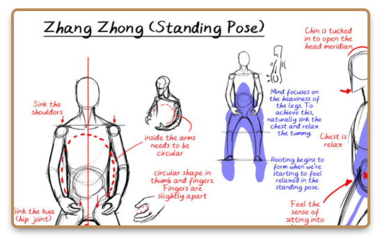 Illustration with explanation of the Zhang Zhong standing pose