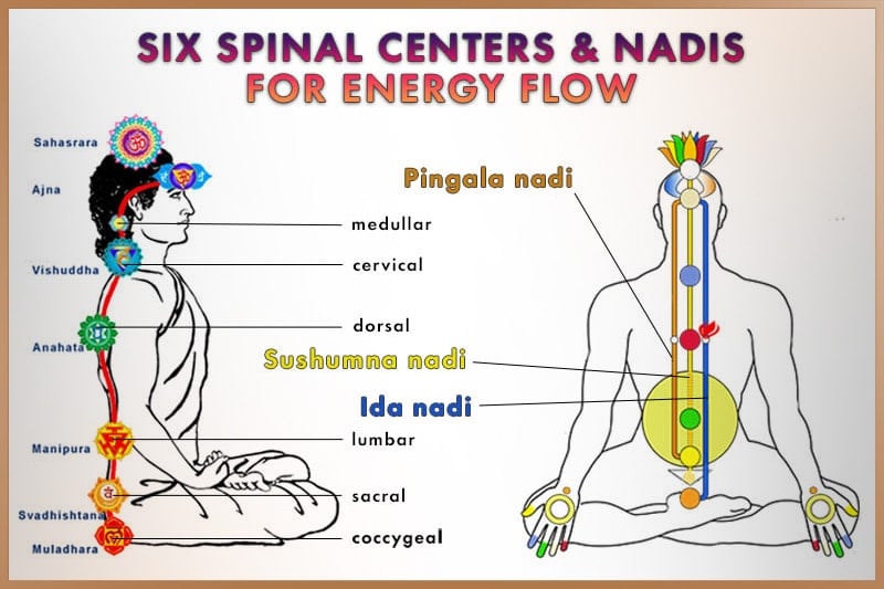 Six spinal centers and the main nadis where prana energy flows