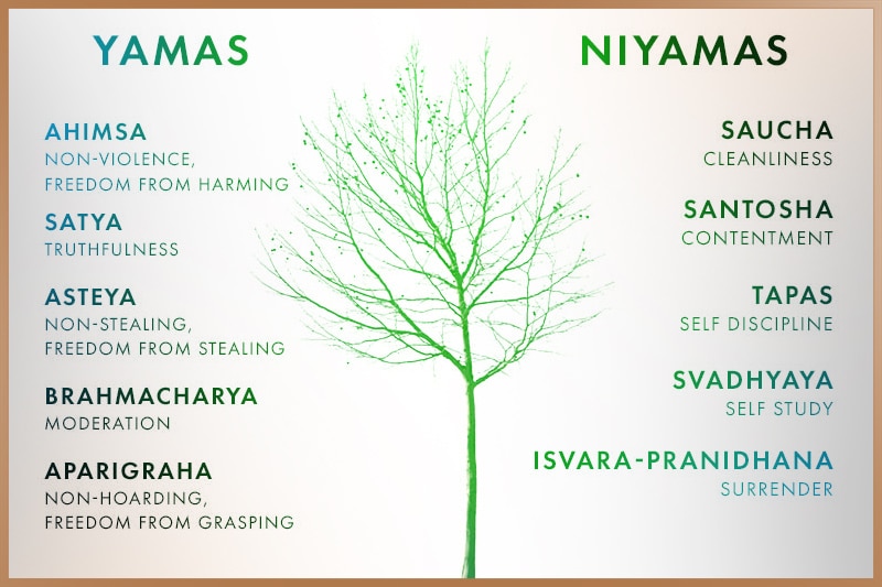 The ten Yamas and Niyamas, which are foundational to all yogic thought