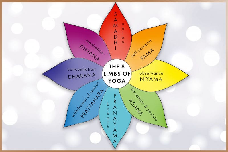 The eight limbs of yoga depicted on a flower, each limb is a petal