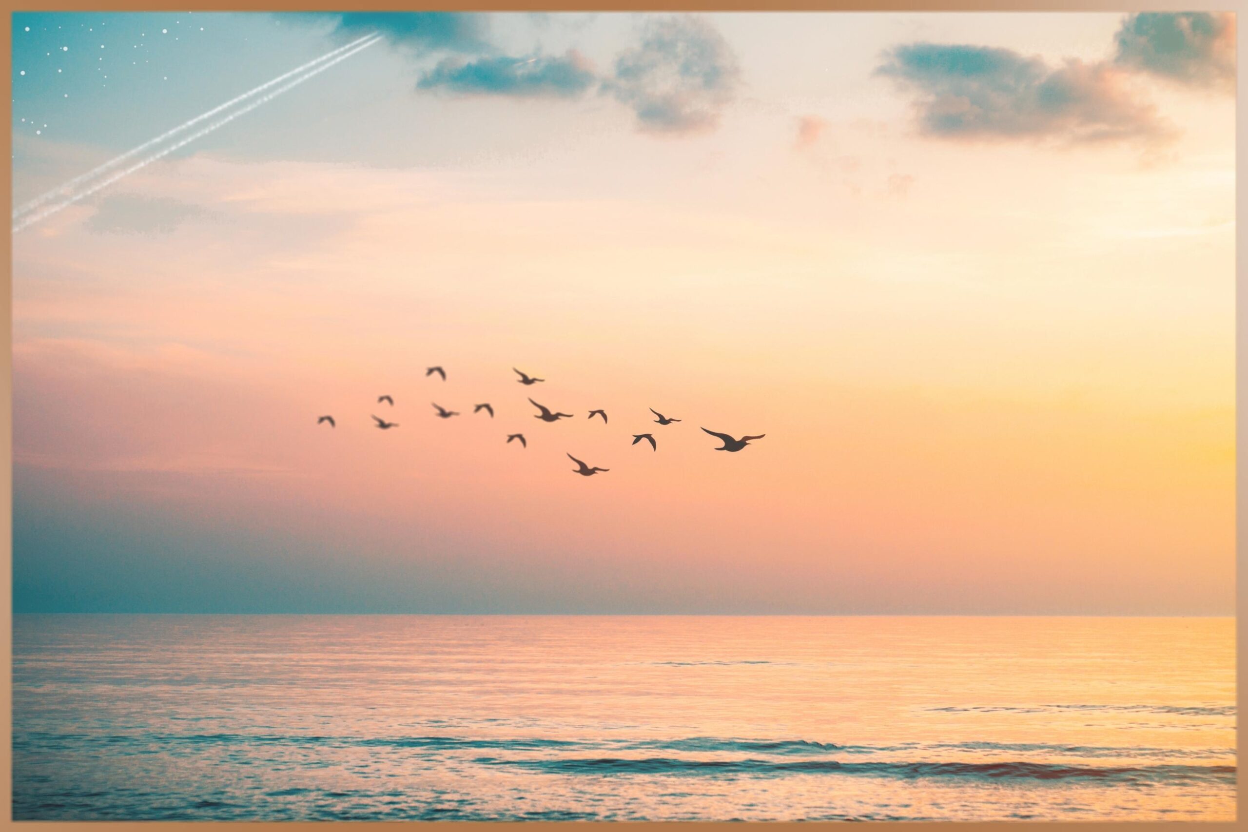 Sunset at the sea with flying birds gives a feeling of calmness
