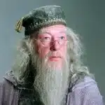 Elderly man with long white beard and glasses, wearing a dark hat and robes, portrayed as a wise and contemplative wizard.