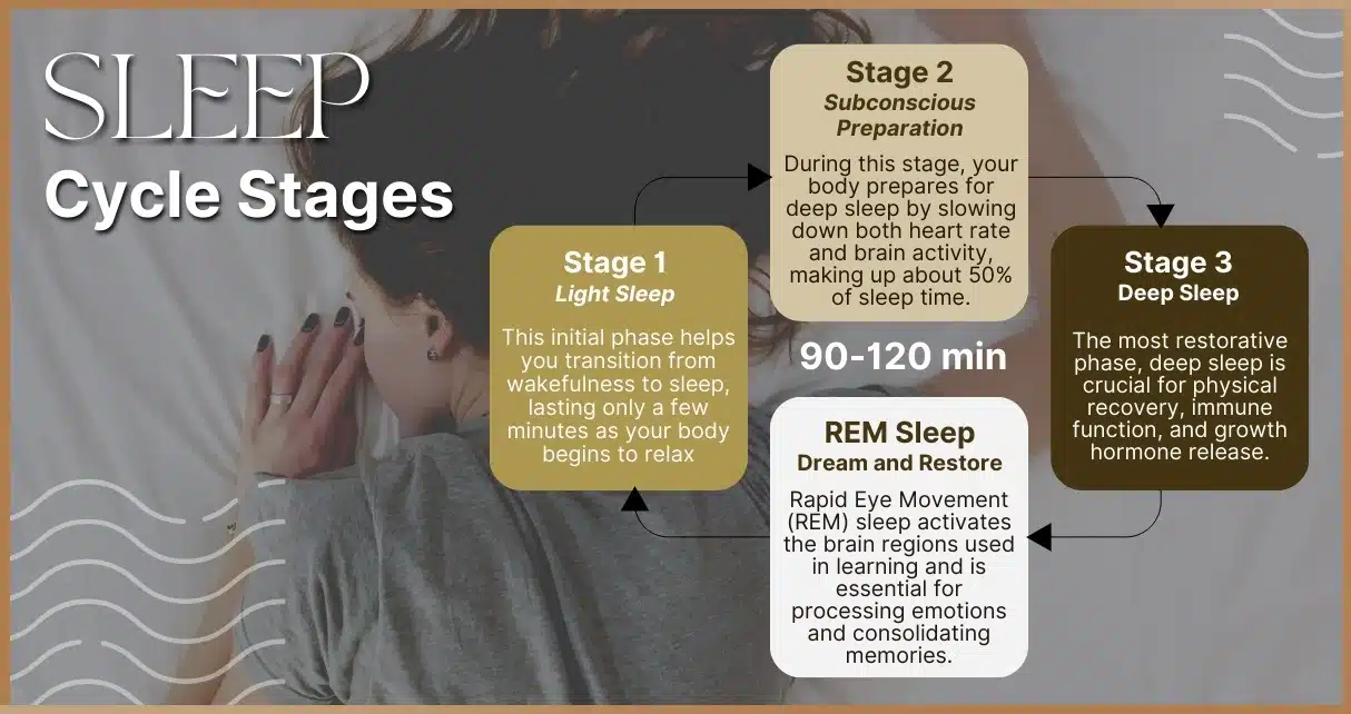 An infographic depicting the different stages of the sleep cycle, including light sleep, deep sleep, and REM sleep, with explanations of their impact on body and mental health.