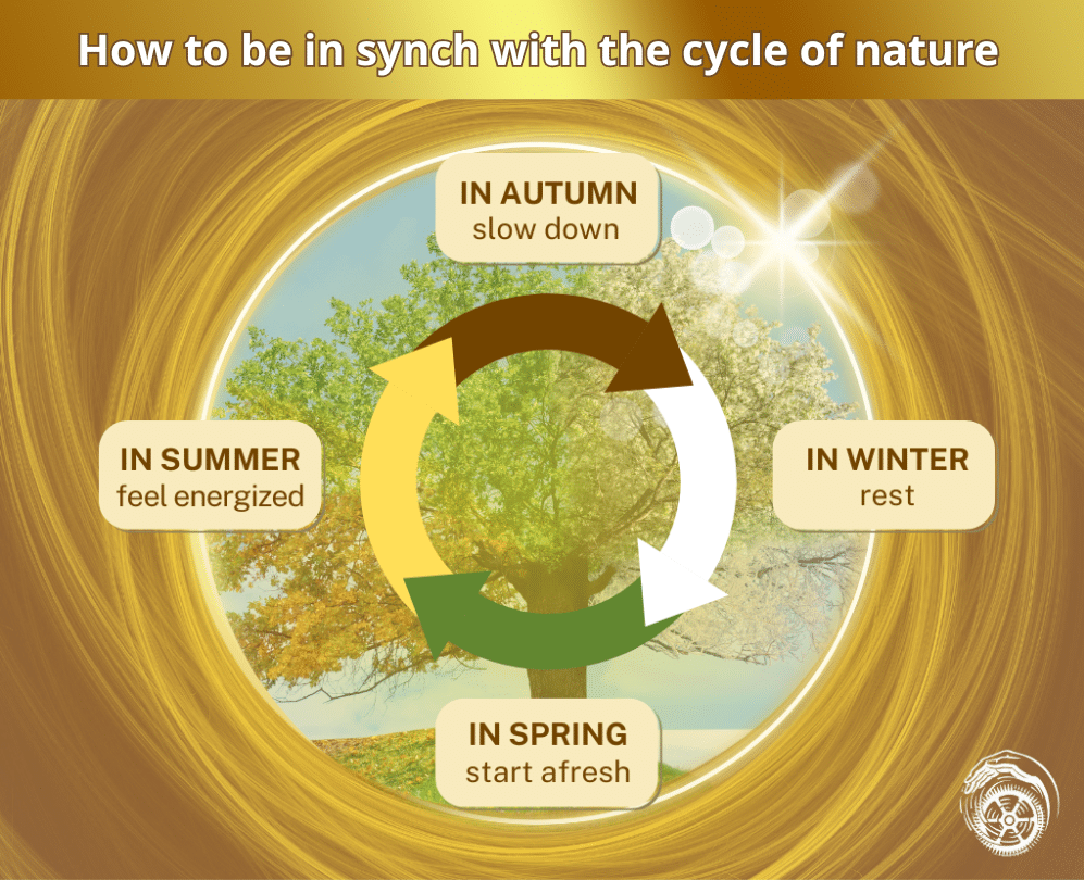 Illustration of the seasonal cycle emphasizing spiritual practices for each season, including slowing down in autumn, resting in winter, starting fresh in spring, and feeling energized in summer.