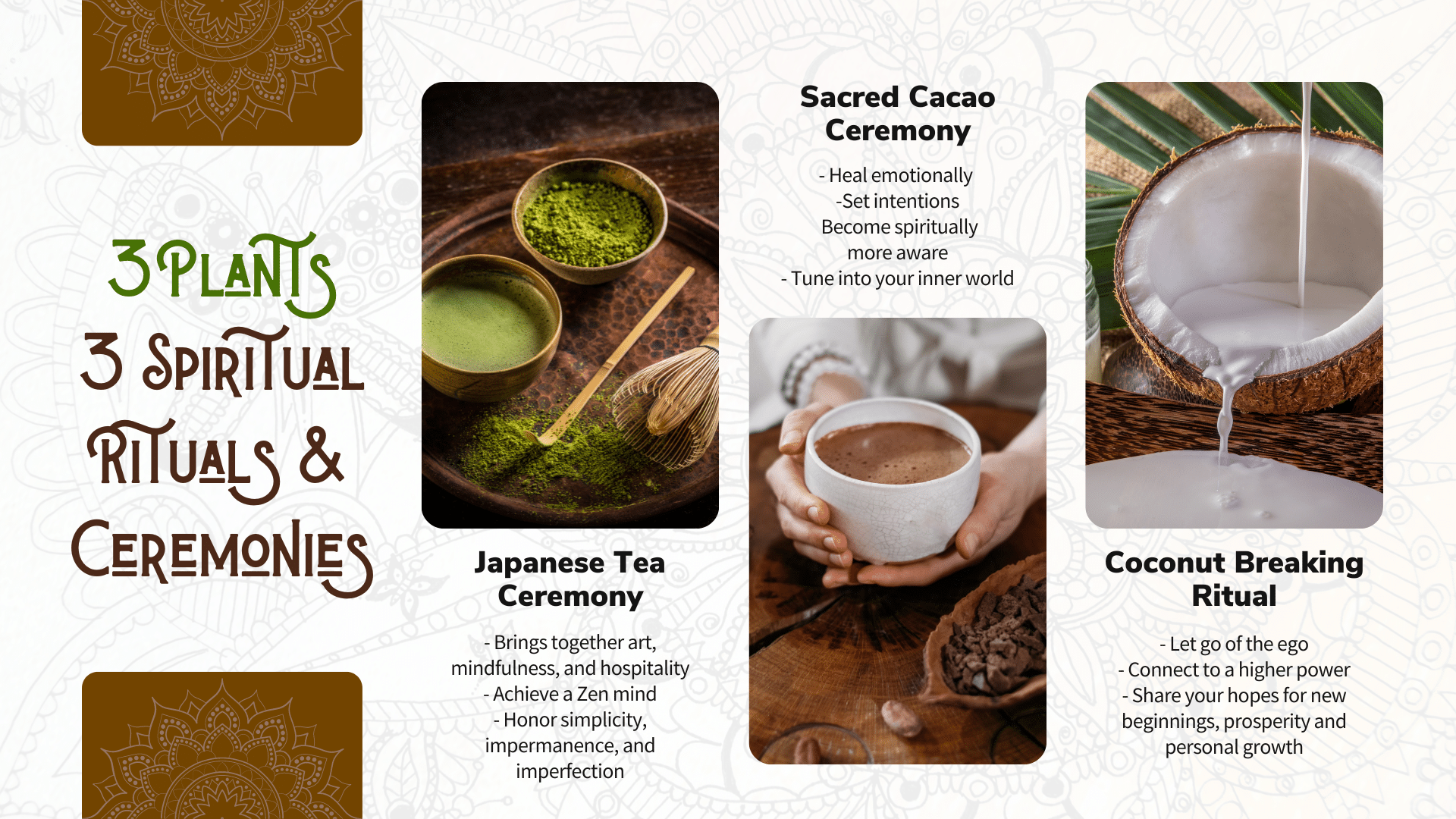 An infographic titled "3 Plants, 3 Spiritual Rituals & Ceremonies" showing the use of cacao, coconut, and matcha in spiritual practices, each with their own image and description of their cultural significance and use in rituals.