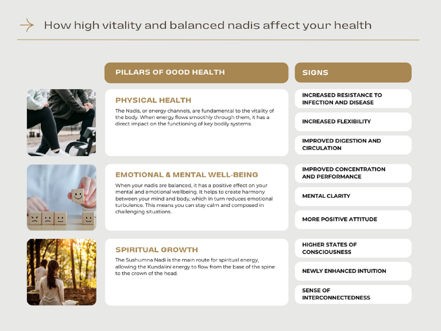 An infographic titled "How high vitality and balanced nadis affect your health," highlighting the pillars of good health—physical health, emotional and mental well-being, and spiritual growth—with corresponding signs of benefits.