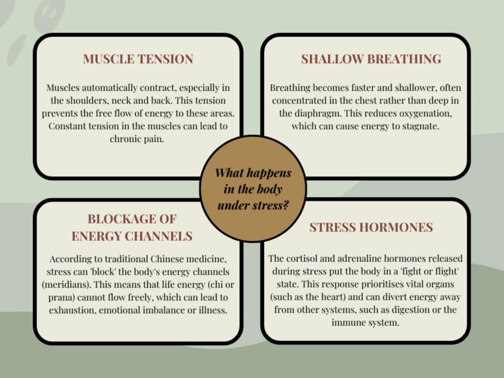 Infographic titled 'What happens in the body under stress?' showing four main effects of stress: muscle tension, shallow breathing, blockage of energy channels, and stress hormones. Each section is explained in individual boxes around a central circle.